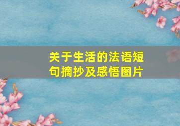 关于生活的法语短句摘抄及感悟图片