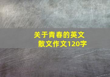 关于青春的英文散文作文120字