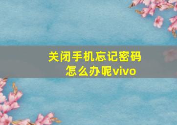 关闭手机忘记密码怎么办呢vivo