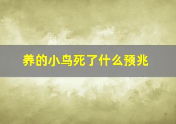 养的小鸟死了什么预兆