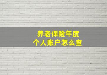 养老保险年度个人账户怎么查