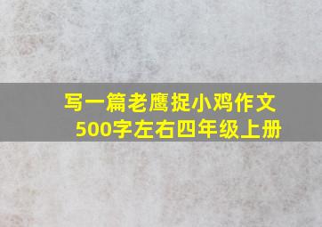 写一篇老鹰捉小鸡作文500字左右四年级上册