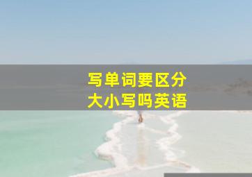 写单词要区分大小写吗英语