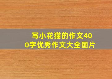 写小花猫的作文400字优秀作文大全图片