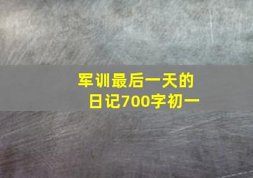 军训最后一天的日记700字初一