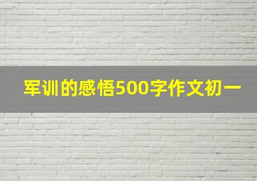 军训的感悟500字作文初一