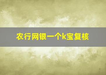 农行网银一个k宝复核