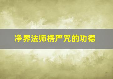 净界法师楞严咒的功德