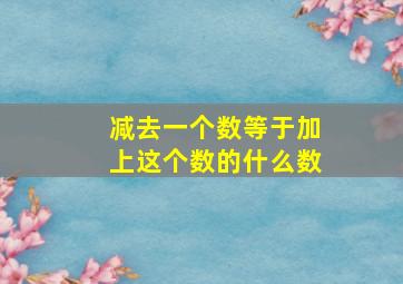 减去一个数等于加上这个数的什么数