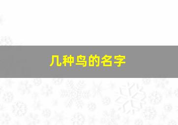 几种鸟的名字