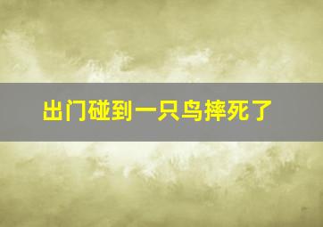 出门碰到一只鸟摔死了