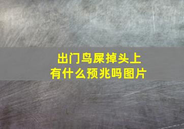 出门鸟屎掉头上有什么预兆吗图片