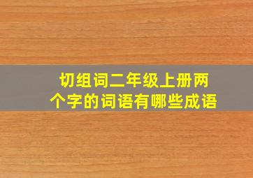 切组词二年级上册两个字的词语有哪些成语