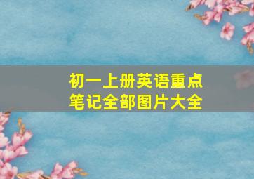 初一上册英语重点笔记全部图片大全