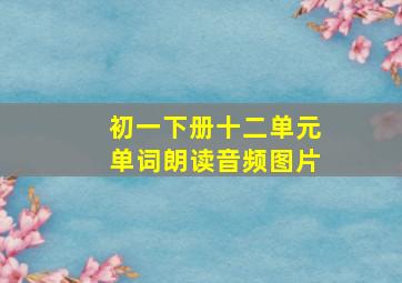 初一下册十二单元单词朗读音频图片