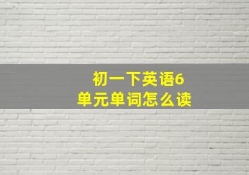 初一下英语6单元单词怎么读