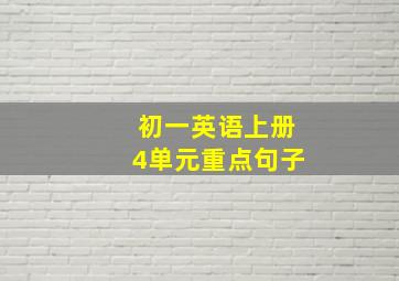 初一英语上册4单元重点句子