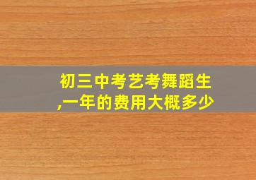 初三中考艺考舞蹈生,一年的费用大概多少