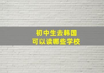 初中生去韩国可以读哪些学校