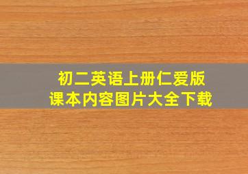 初二英语上册仁爱版课本内容图片大全下载