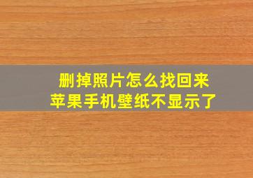 删掉照片怎么找回来苹果手机壁纸不显示了