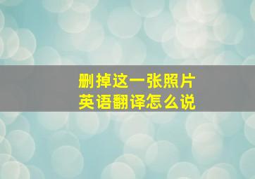 删掉这一张照片英语翻译怎么说