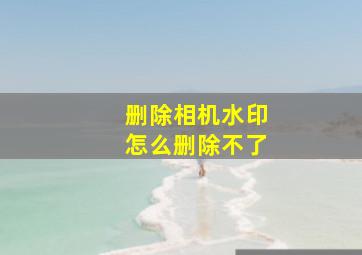 删除相机水印怎么删除不了