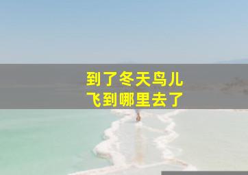 到了冬天鸟儿飞到哪里去了