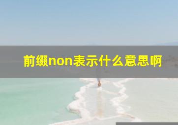 前缀non表示什么意思啊