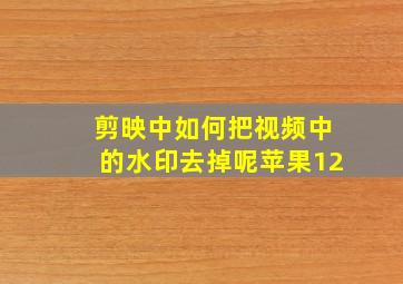 剪映中如何把视频中的水印去掉呢苹果12