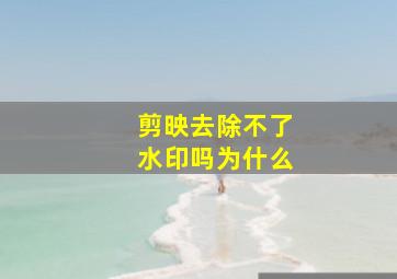 剪映去除不了水印吗为什么