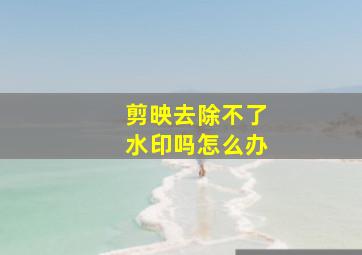 剪映去除不了水印吗怎么办