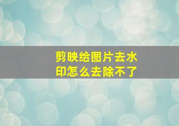 剪映给图片去水印怎么去除不了