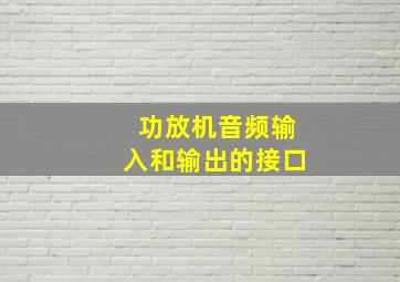 功放机音频输入和输出的接口