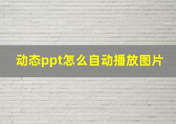 动态ppt怎么自动播放图片