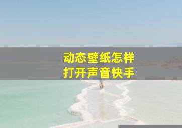 动态壁纸怎样打开声音快手