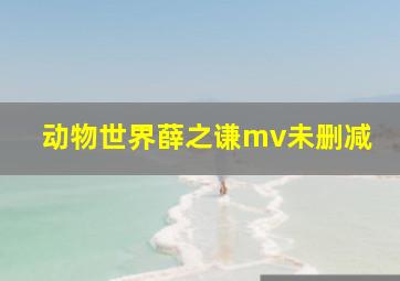 动物世界薛之谦mv未删减