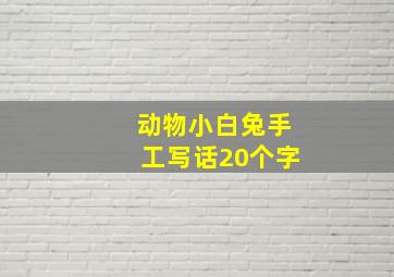 动物小白兔手工写话20个字