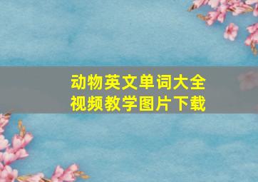 动物英文单词大全视频教学图片下载