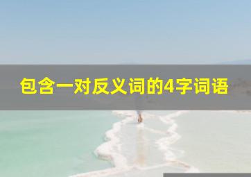 包含一对反义词的4字词语