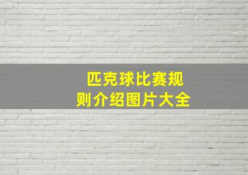 匹克球比赛规则介绍图片大全