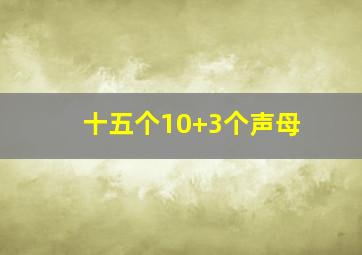 十五个10+3个声母