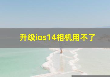 升级ios14相机用不了