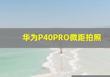 华为P40PRO微距拍照