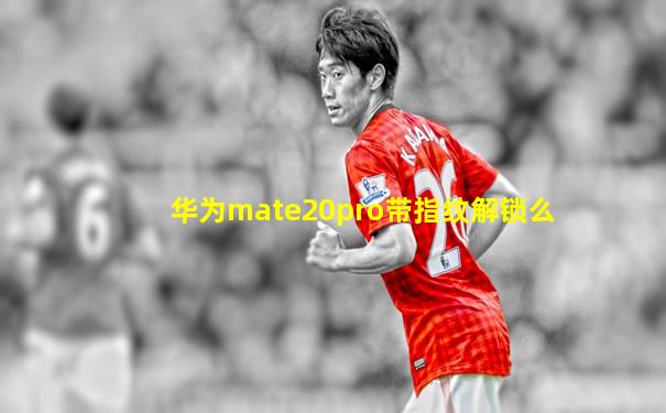 华为mate20pro带指纹解锁么