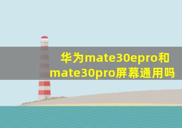 华为mate30epro和mate30pro屏幕通用吗