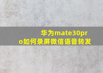 华为mate30pro如何录屏微信语音转发