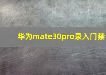 华为mate30pro录入门禁