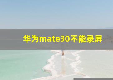 华为mate30不能录屏