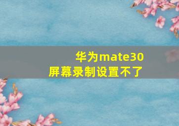 华为mate30屏幕录制设置不了